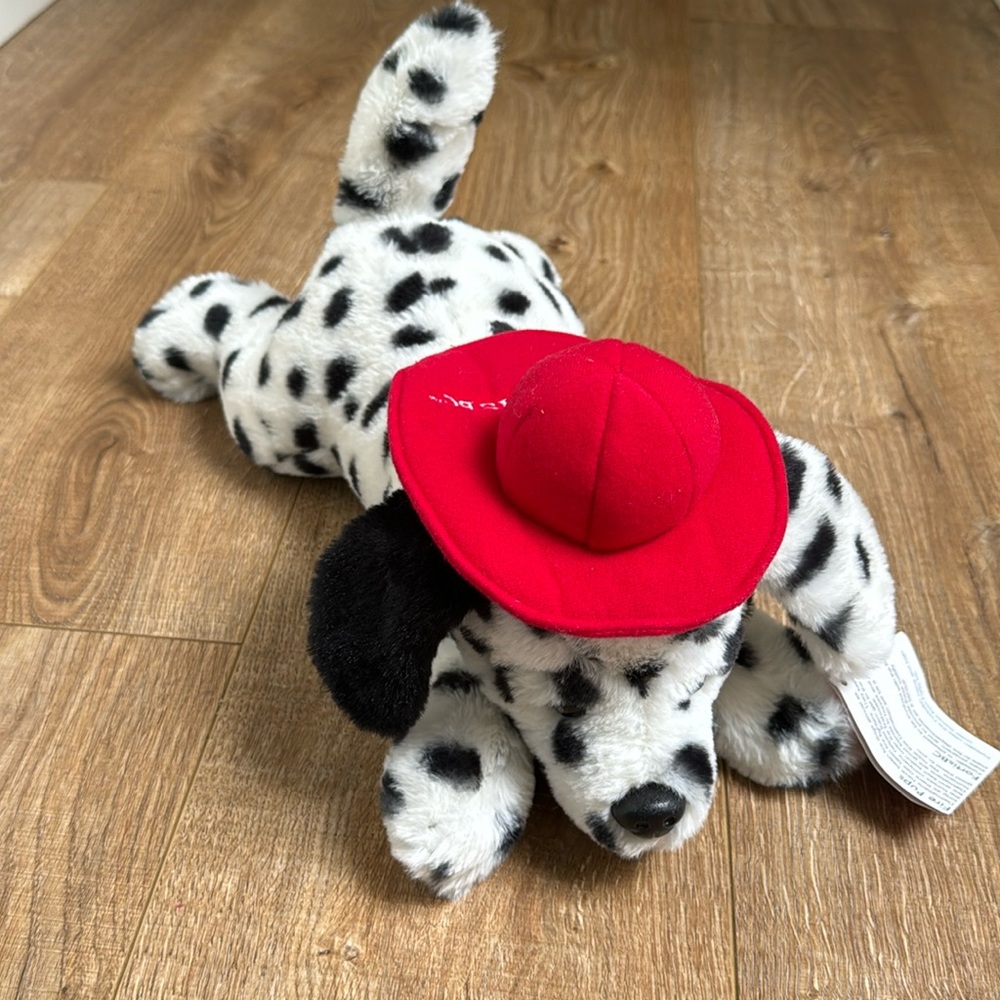 Dalmatian fire pup 🐶